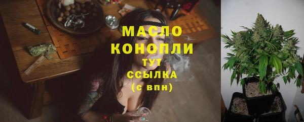 шишки Белоозёрский