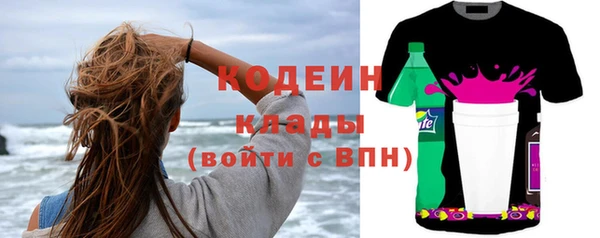 шишки Белоозёрский