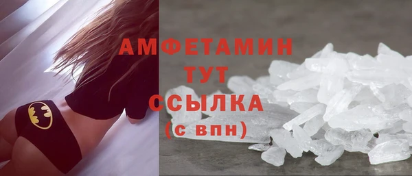 шишки Белоозёрский