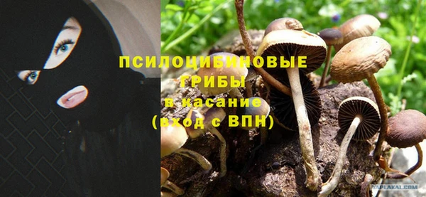 круглые Беломорск