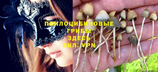 гашишное масло Белокуриха