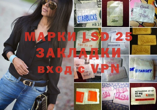 шишки Белоозёрский