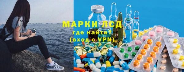 шишки Белоозёрский