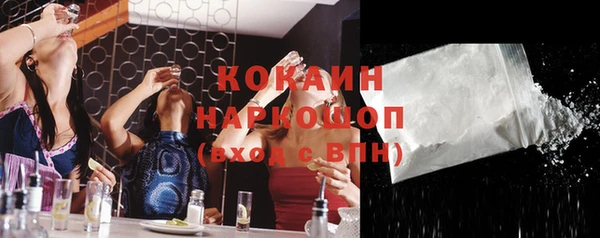 шишки Белоозёрский